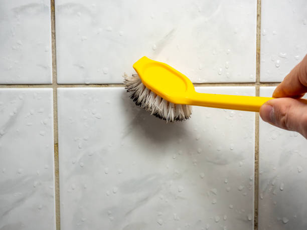 Best Mold Testing  in Merion Station, PA